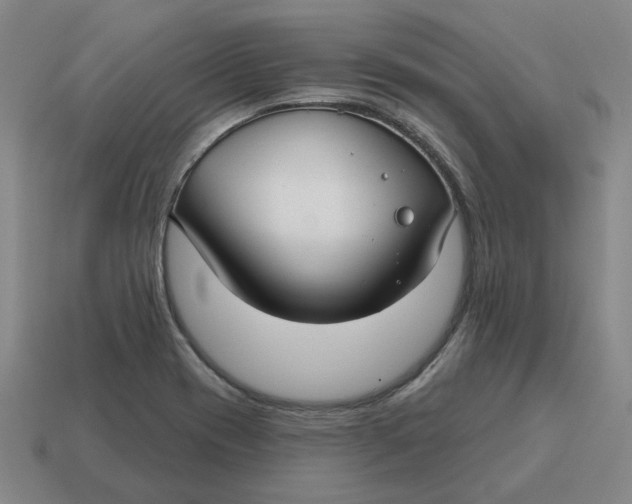 X0000114441417200911061654