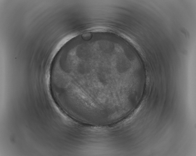 X0000114441418200911061654