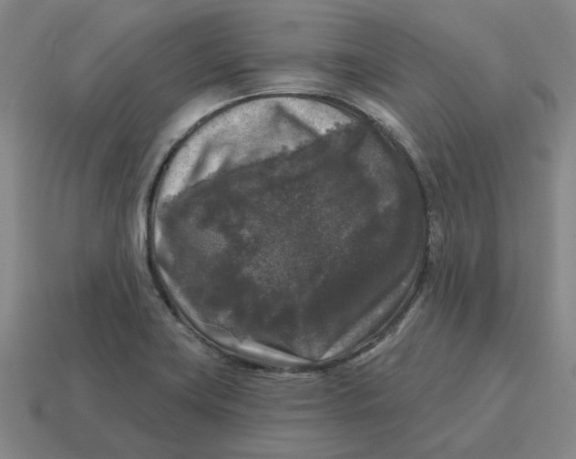 X0000114441419200911061654