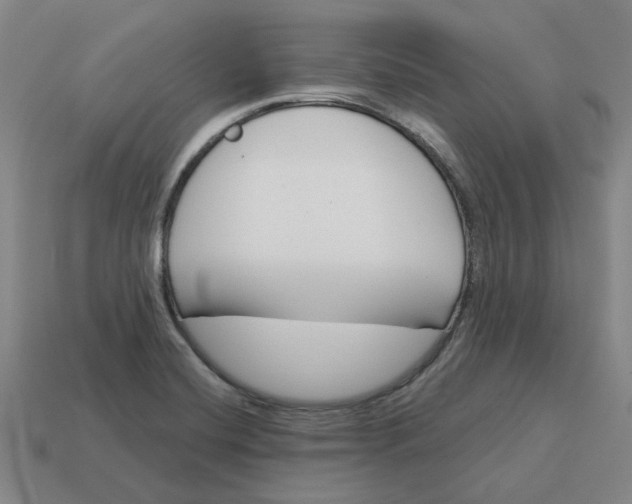 X0000114441420200911061654