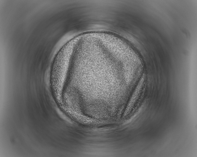 X0000114441421200911061654