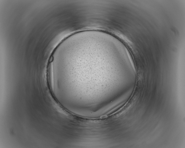 X0000114441423200911061654