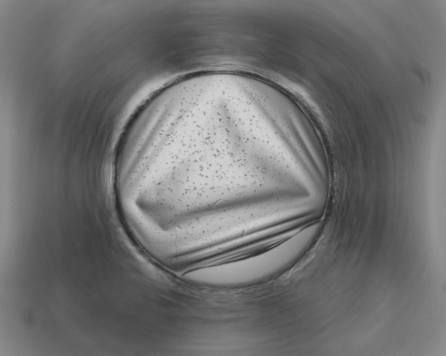 X0000114441424200911061654