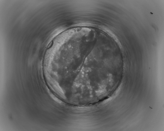 X0000114441425200911061654