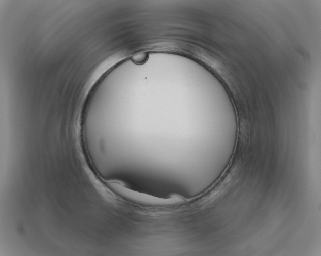 X0000114441426200911061654