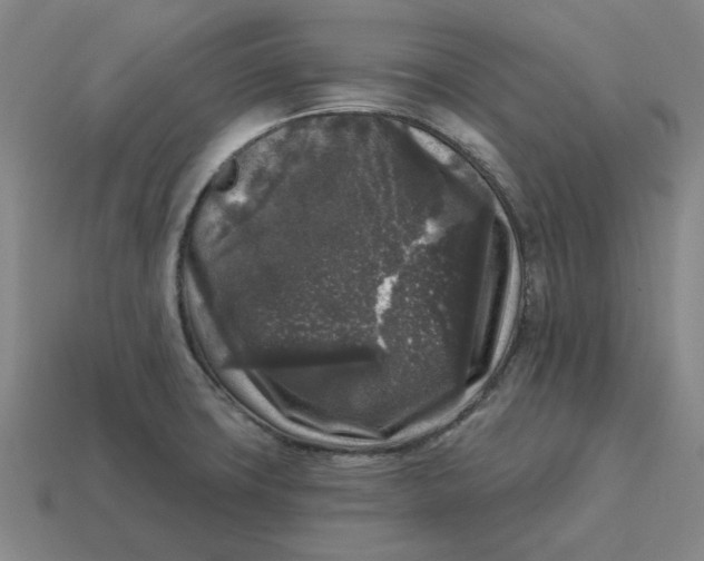 X0000114441427200911061654