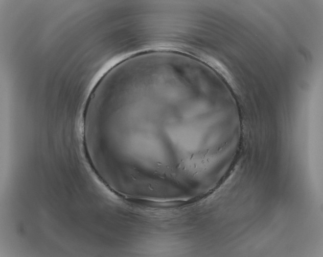 X0000114441428200911061654