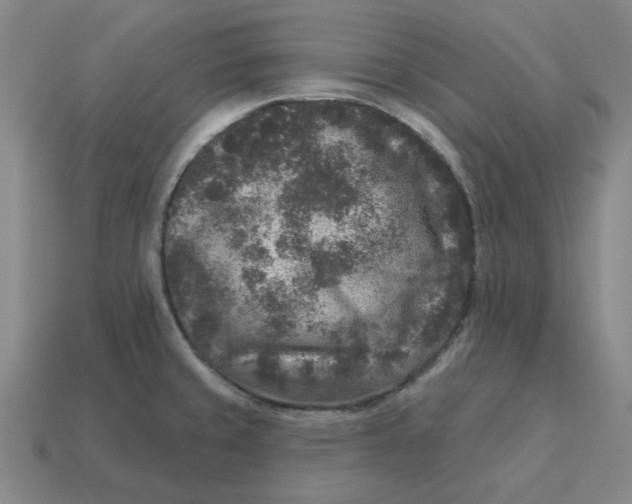 X0000114441429200911061654