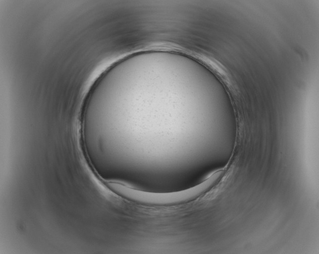 X0000114441430200911061654