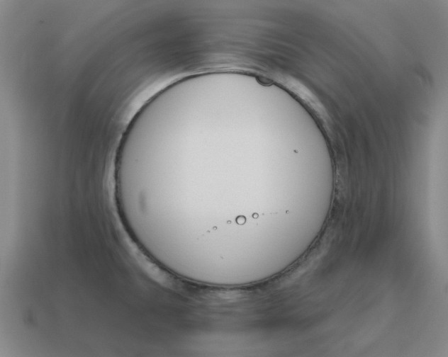 X0000114441431200911061654