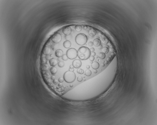 X0000114441432200911061654