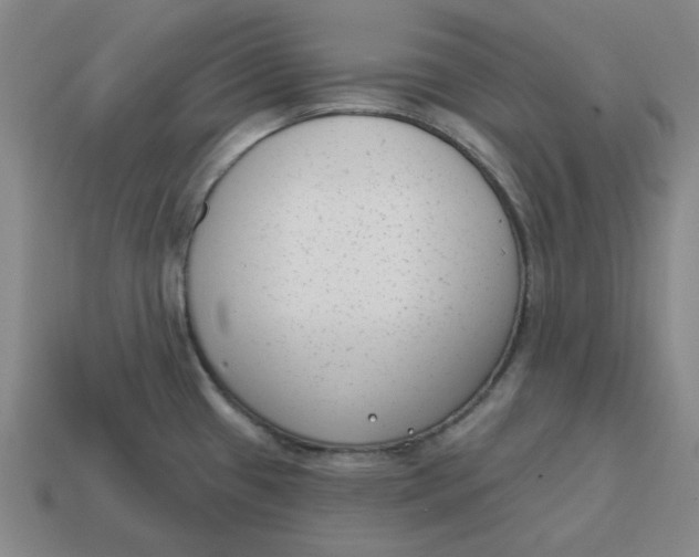 X0000114441433200911061654