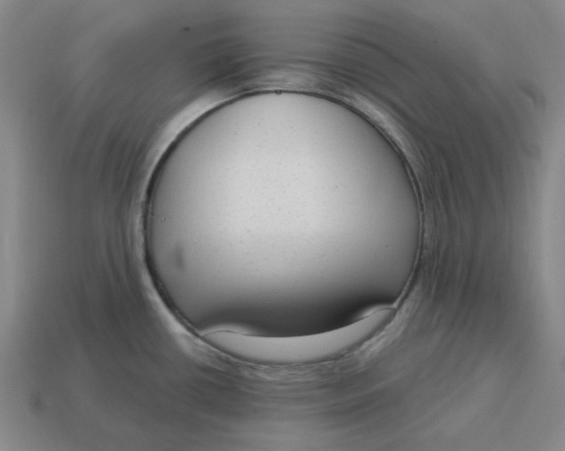 X0000114441434200911061654