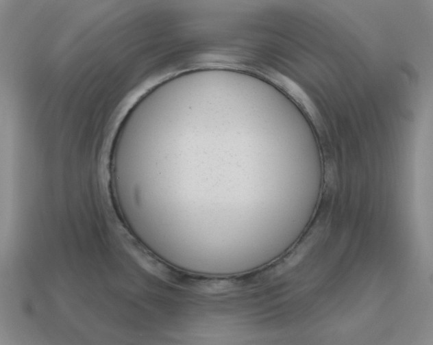 X0000114441435200911061654