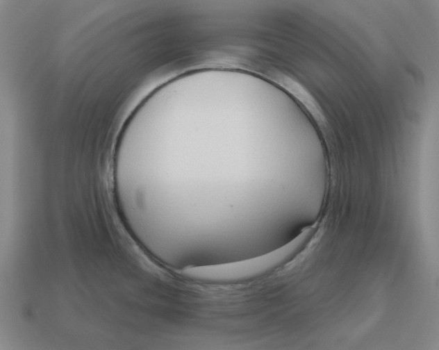 X0000114441436200911061654