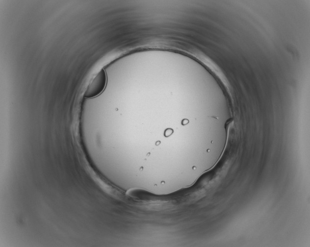 X0000114441437200911061654