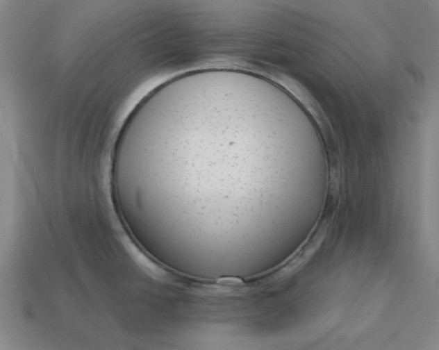 X0000114441438200911061654