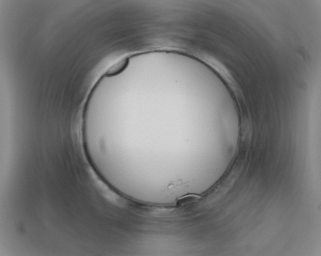 X0000114441439200911061654