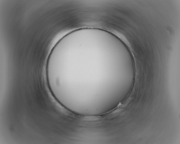 X0000114441440200911061654