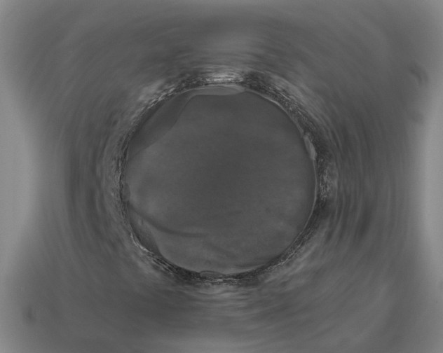 X0000114441441200911061654