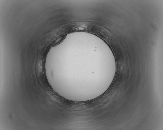 X0000114441442200911061654