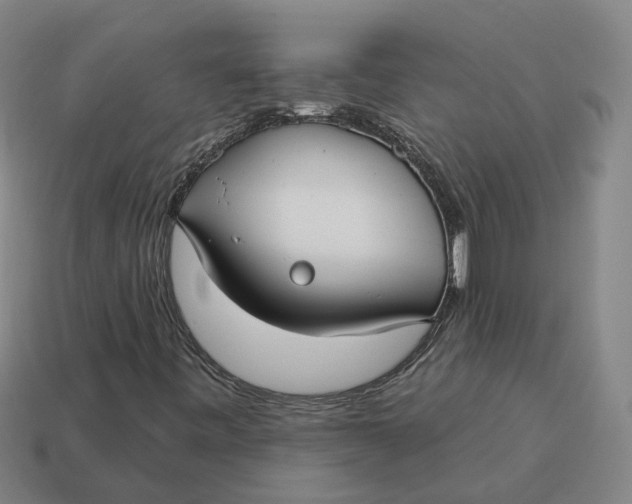 X0000114441443200911061654