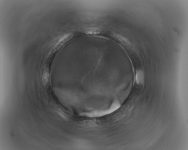 X0000114441444200911061654