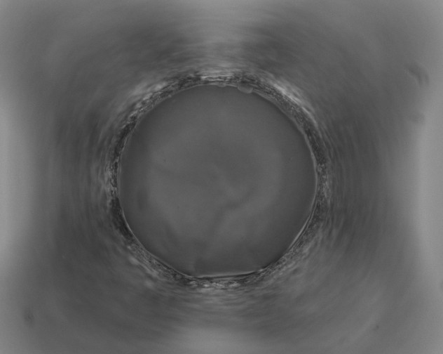 X0000114441445200911061654