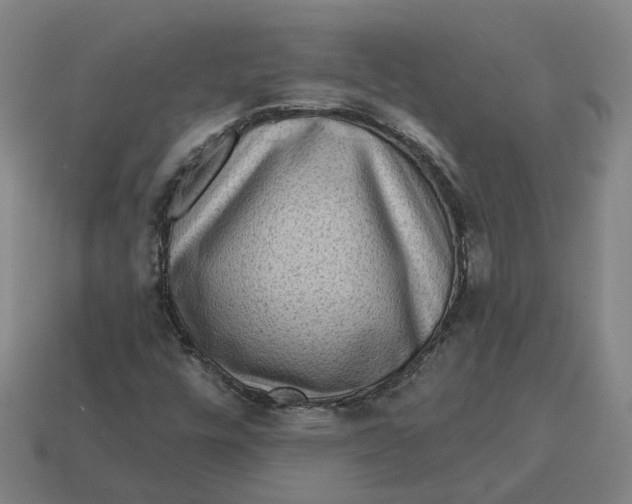 X0000114441448200911061654