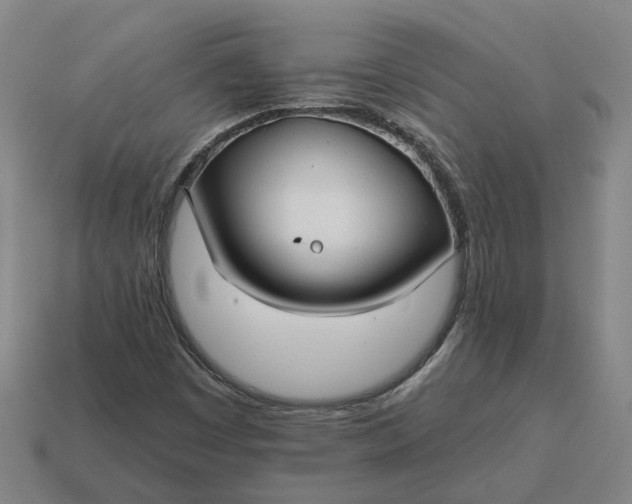 X0000114441449200911061654