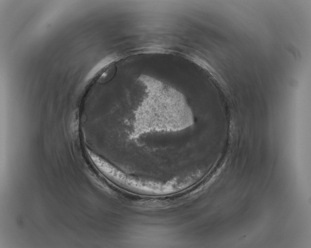 X0000114441450200911061654