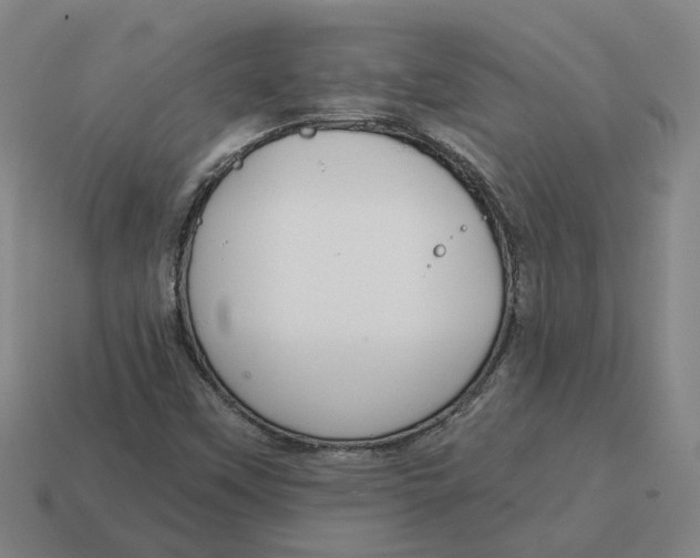 X0000114441451200911061654