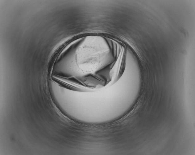 X0000114441452200911061654