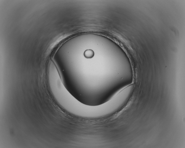 X0000114441453200911061654