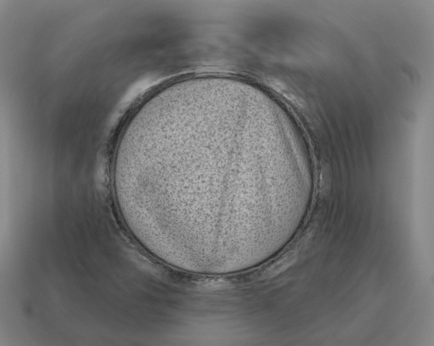 X0000114441454200911061653