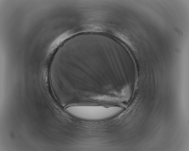 X0000114441455200911061653