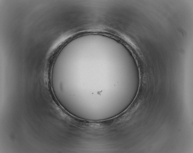 X0000114441456200911061653