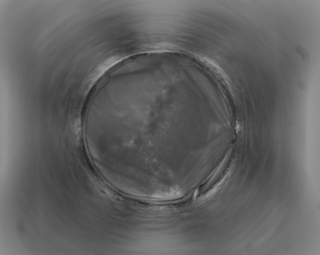 X0000114441457200911061653