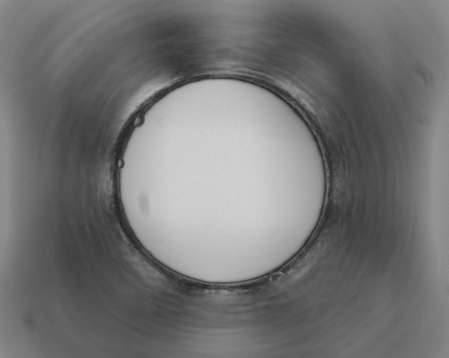 X0000114441458200911061653