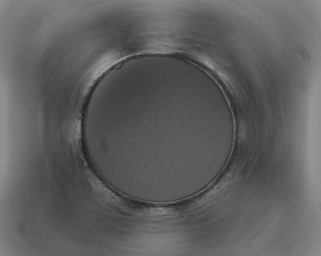 X0000114441459200911061653