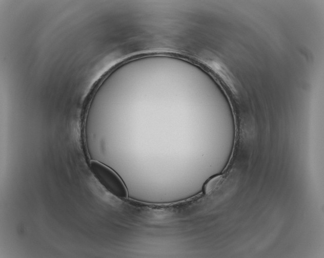 X0000114441460200911061653