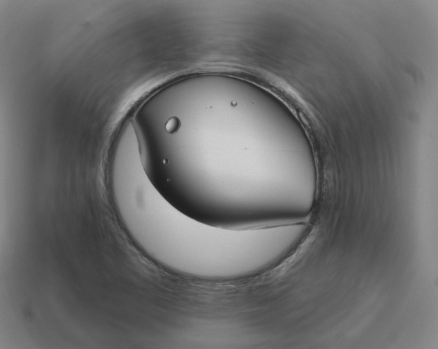 X0000114441461200911061653