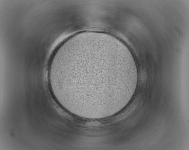 X0000114441462200911061653