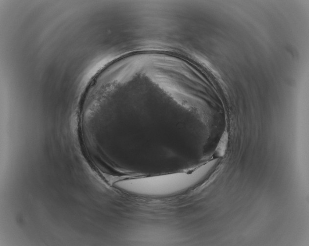 X0000114441463200911061653