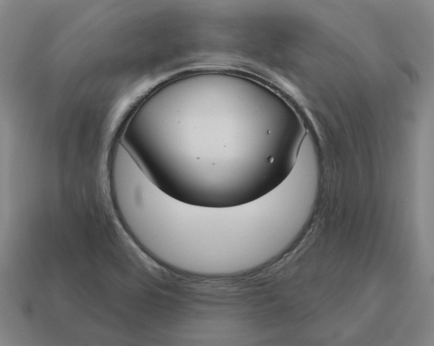 X0000114441464200911061653