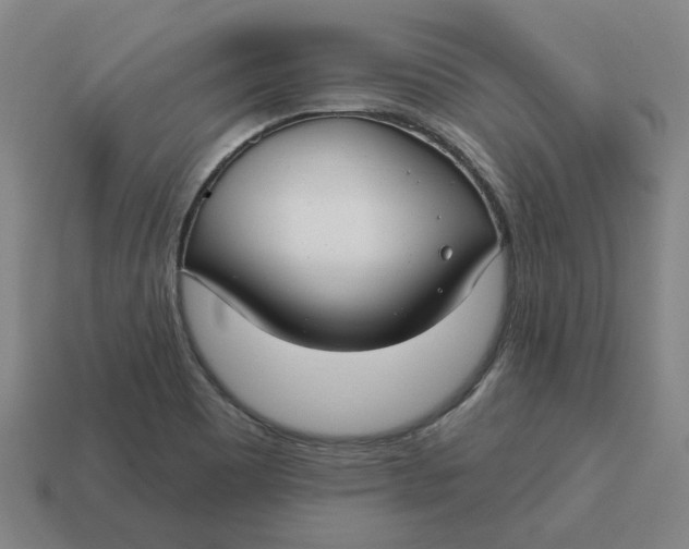 X0000114441465200911061653