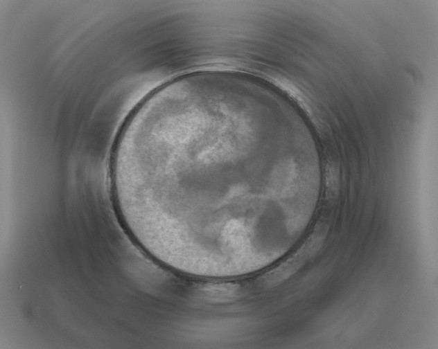 X0000114441466200911061653