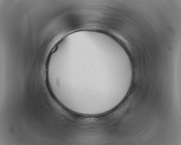 X0000114441467200911061653