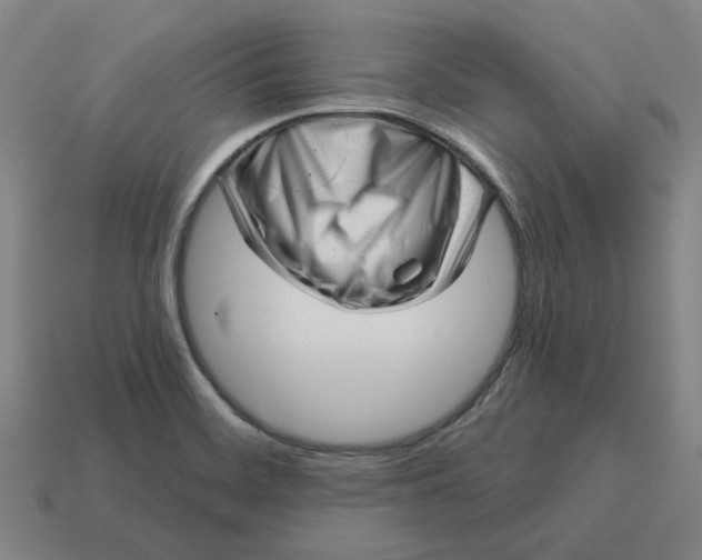 X0000114441468200911061653