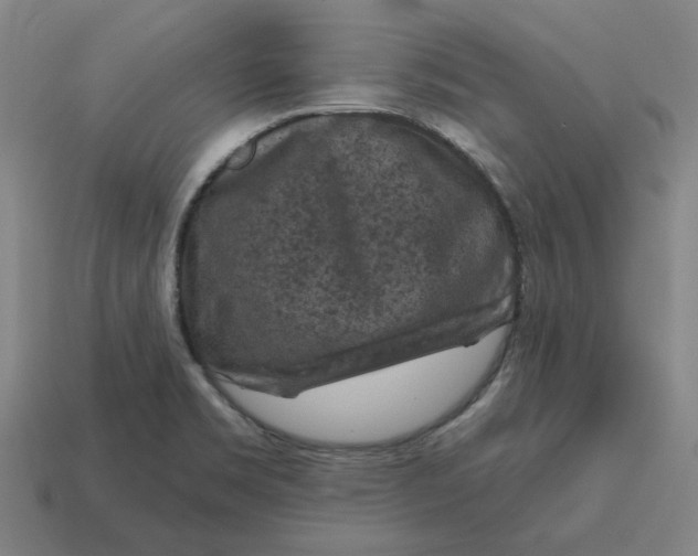 X0000114441469200911061653